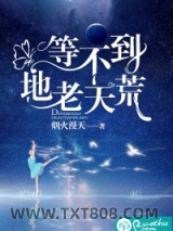《等不到地老天荒》全本TXT下载-作者：烟火漫天