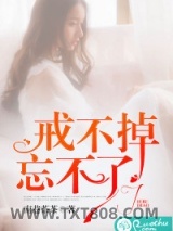 《戒不掉，忘不了》全本TXT下载-作者：南巷茶茶
