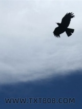 我们的自由年代