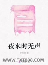 夜来时无声