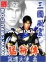 三国风云之猛将传