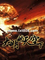 《大明的天空下》全本TXT下载-作者：碧岩