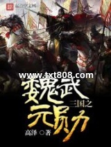 《三国之魏武元勋》全本TXT下载-作者：高泽
