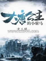 《大唐公主的小驸马》全本TXT下载-作者：沈三问