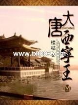 大唐西宁王图片