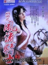 网游之风流骑士图片