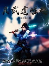 真武道崛起图片
