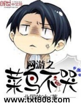 《网游之菜鸟不哭》全本TXT下载-作者：北国的冰
