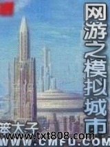 网游之模拟城市图片