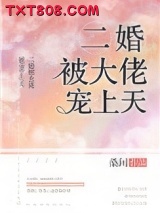 《二婚被大佬宠上天》全本TXT下载-作者：桑间