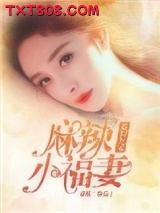 重回九零麻辣小福妻图片