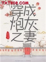 《穿成炮灰之妻（穿书）》全本TXT下载-作者：鸿君老祖