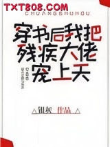 《穿书后我把残疾大佬宠上天》全本TXT下载-作者：银灰