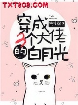 穿成三个大佬的白月光图片