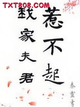 我家夫君惹不起图片