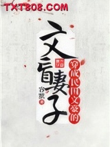 穿成民国文豪的文盲妻子图片