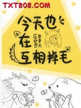 今天也在互相掉毛图片