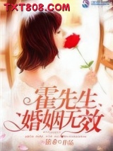 霍先生婚姻无效图片