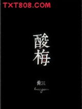 《酸梅》全本TXT下载-作者：黄三