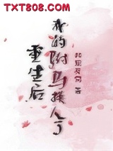 重生后我的驸马换人了图片