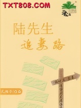 《陆先生追妻路》全本TXT下载-作者：风翎子