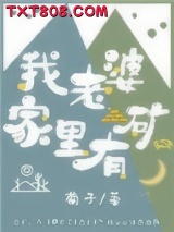 《我老婆家里有矿》全本TXT下载-作者：菊子