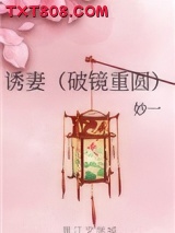 《诱妻（破镜重圆）》全本TXT下载-作者：妙一