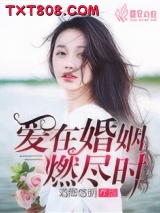 爱在婚姻燃尽时图片