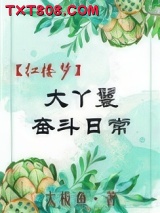 [红楼]大丫鬟奋斗日常