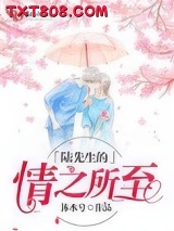 陆先生的情之所至图片