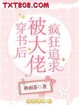 《穿书后被大佬疯狂追求》全本TXT下载-作者：秋雨茶