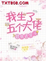 我生了五个大佬替我去宫斗(清穿)图片
