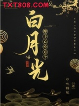 陛下心中有个白月光图片