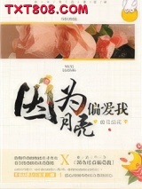 因为月亮偏爱我图片