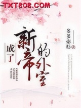 成了新帝的外室图片