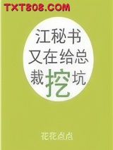 江秘书又在给总裁挖坑图片