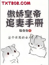 《傲娇皇帝追妻手册》全本TXT下载-作者：脸白白