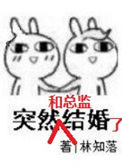 突然和总监结婚了图片